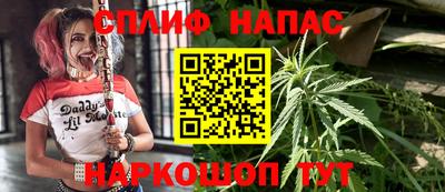 СК Донецк