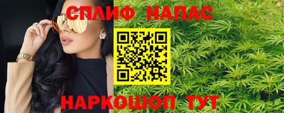 СК Донецк
