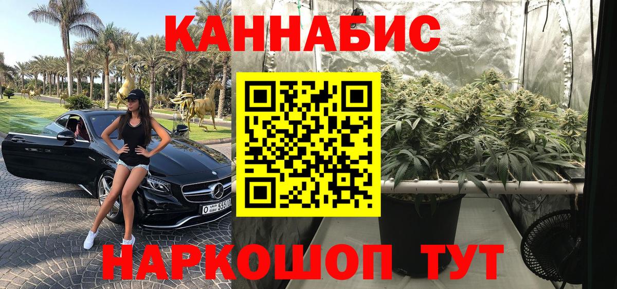 Конопля гибрид  Конопля Bruce Banner  Конопля OG Kush  Надым  Вход с VPN 